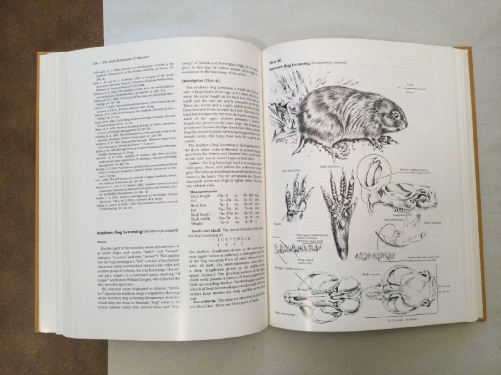The Wild Mammals of Missouri Charles &Elizabeth Schwartz Book HCDJ 1986 Revised