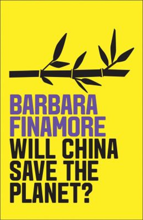 Will China Save the Planet? Paperback Barbara Finamore