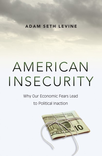 American Insecurity Why Our Economic Fears Lead to by Adam Seth Levine HARDBACK