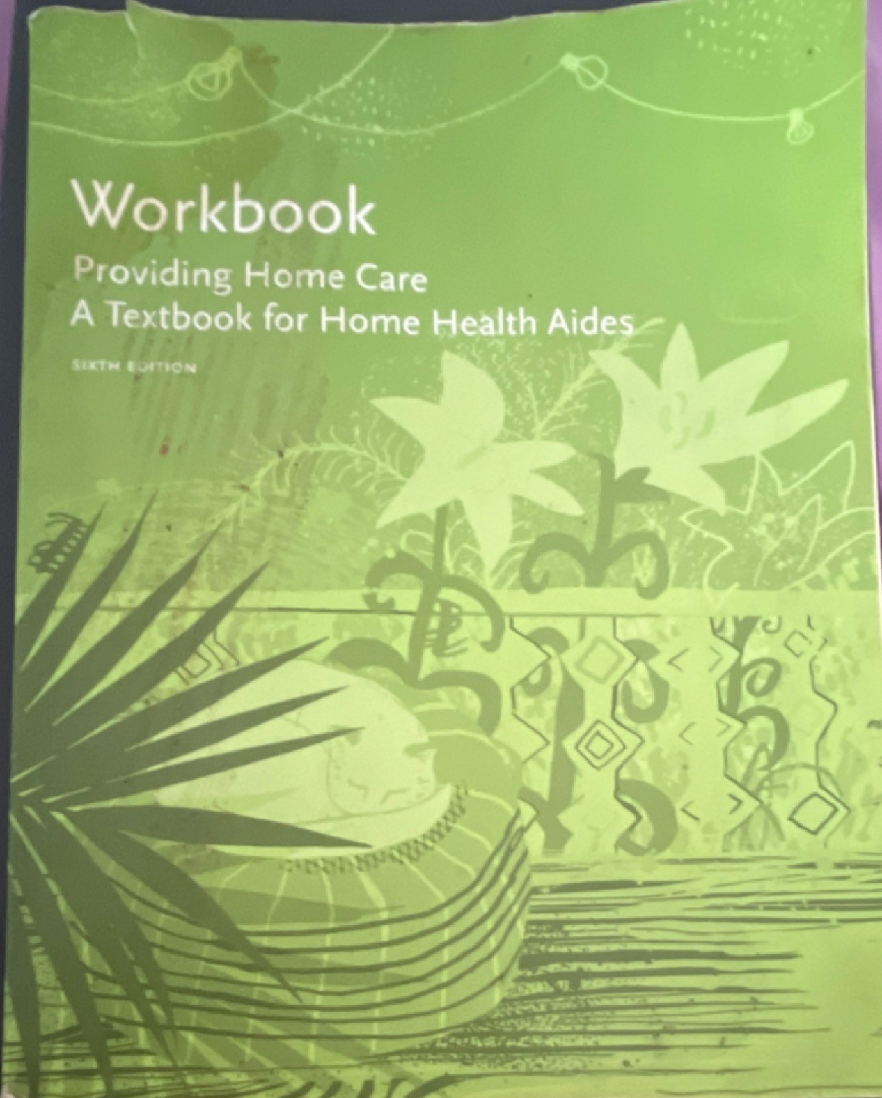 Hartman Sixth Edition Providing Home Care Textbook Health Nursing Medical