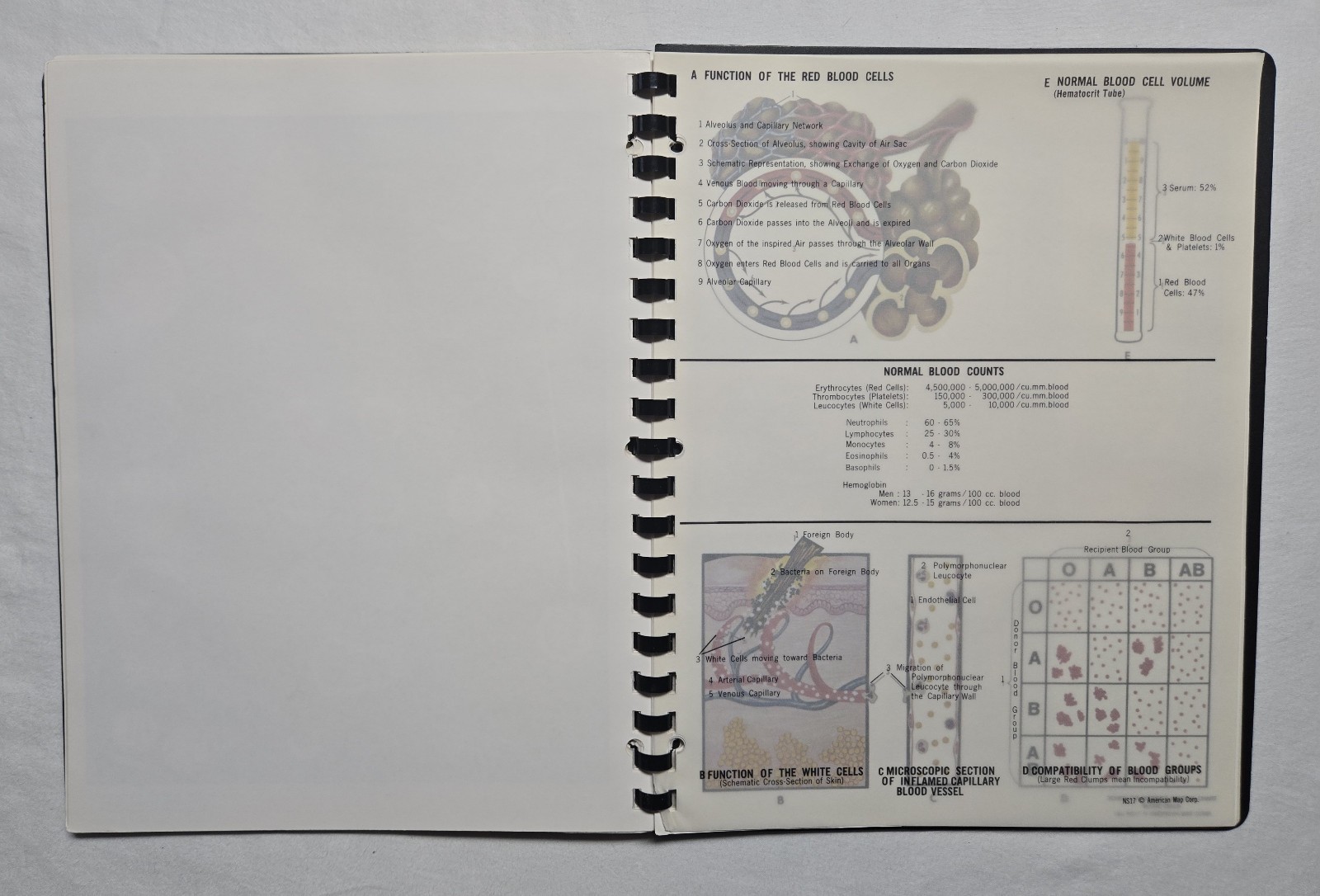 Schick Notebook Charts Human Anatomy Softcover Spiral Bound Book (1987)