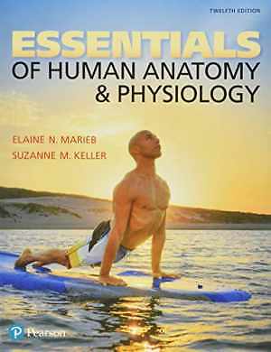 Essentials of Human Anatomy & – Paperback, by Marieb Elaine; Keller – Acceptable