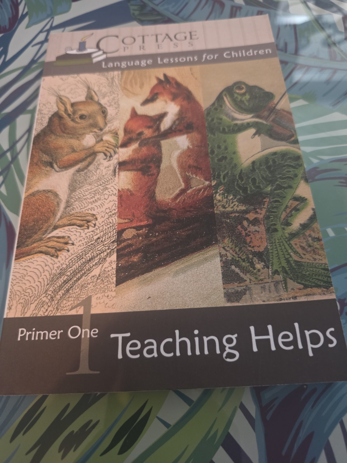 Primer One Teaching Helps Paperback Kathy Weitz
