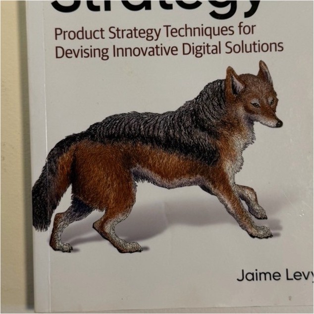 O’Reilly UX Strategy Second Edition by Jaime Levy (Paperback, English)