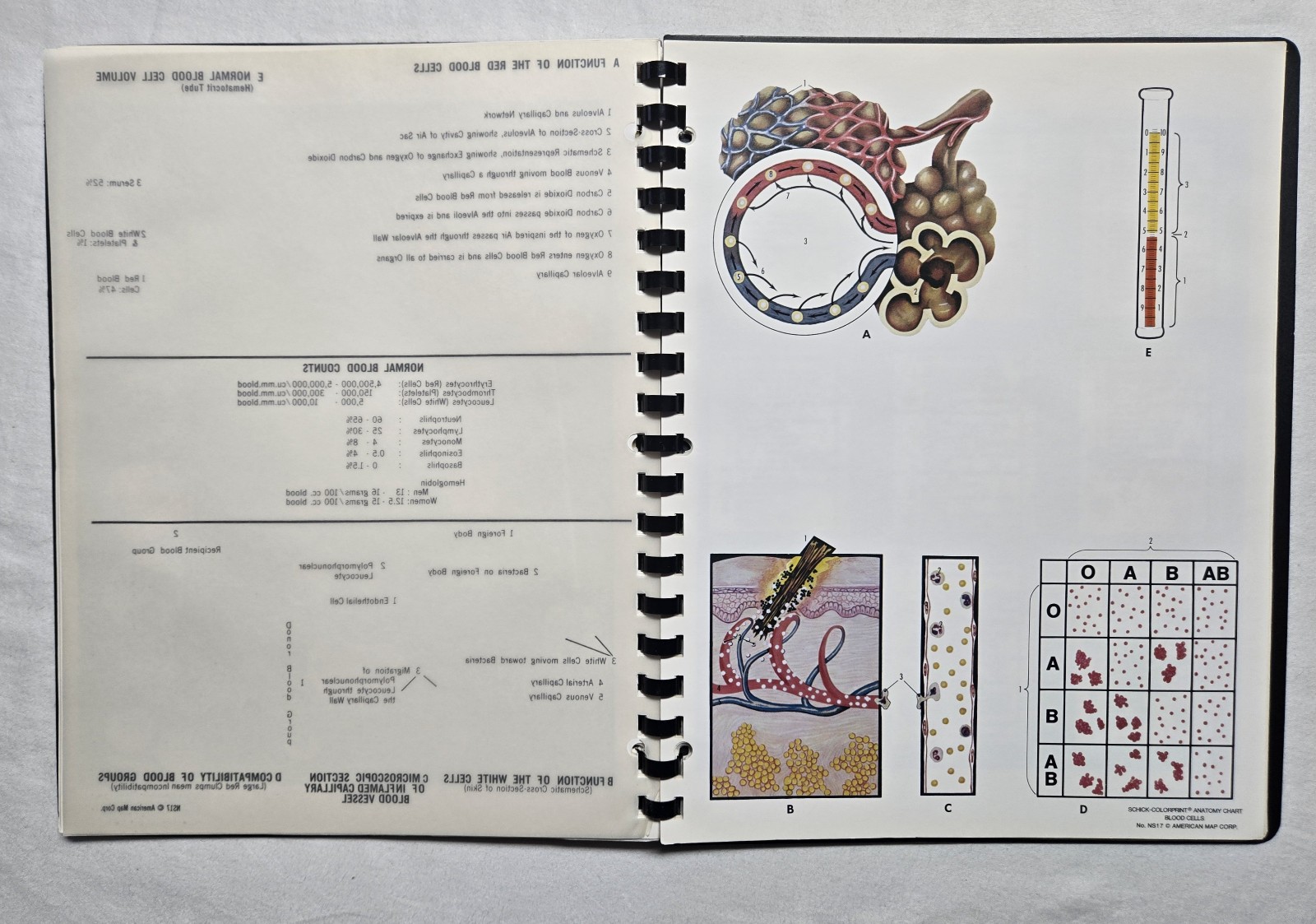 Schick Notebook Charts Human Anatomy Softcover Spiral Bound Book (1987)