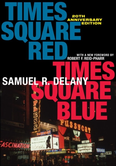 TIMES SQUARE RED TIMES SQUARE BLUE 20TH by Samuel R. Delany Paperback Self Help