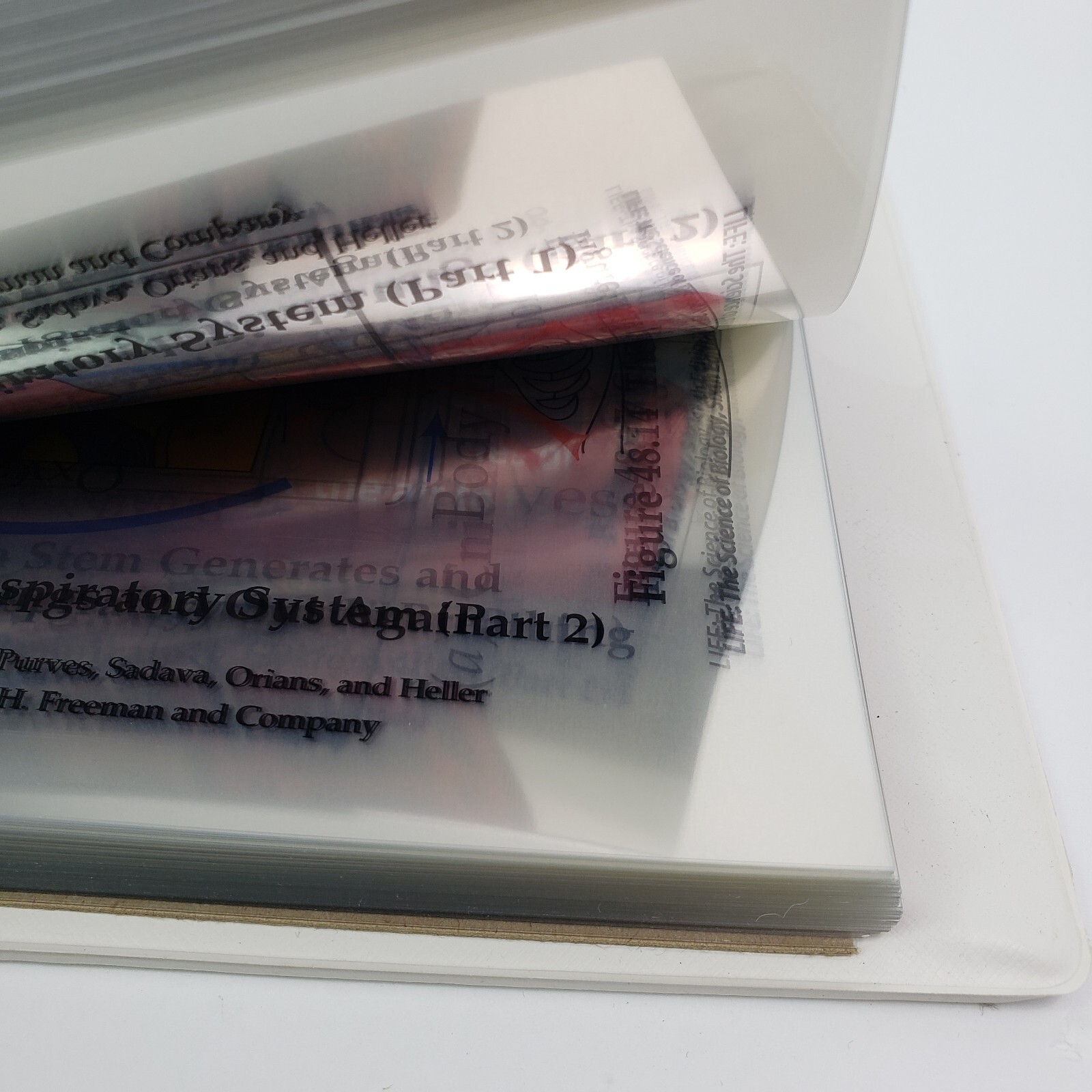 Life The Science Of Biology 6th Edition Chpts 29-58 3Ring Binder Transparencies