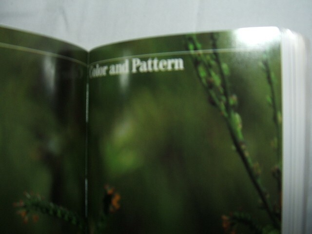 An Audubon Handbook How to Identify Birds by John Farrand Jr. Colorful 287pgs