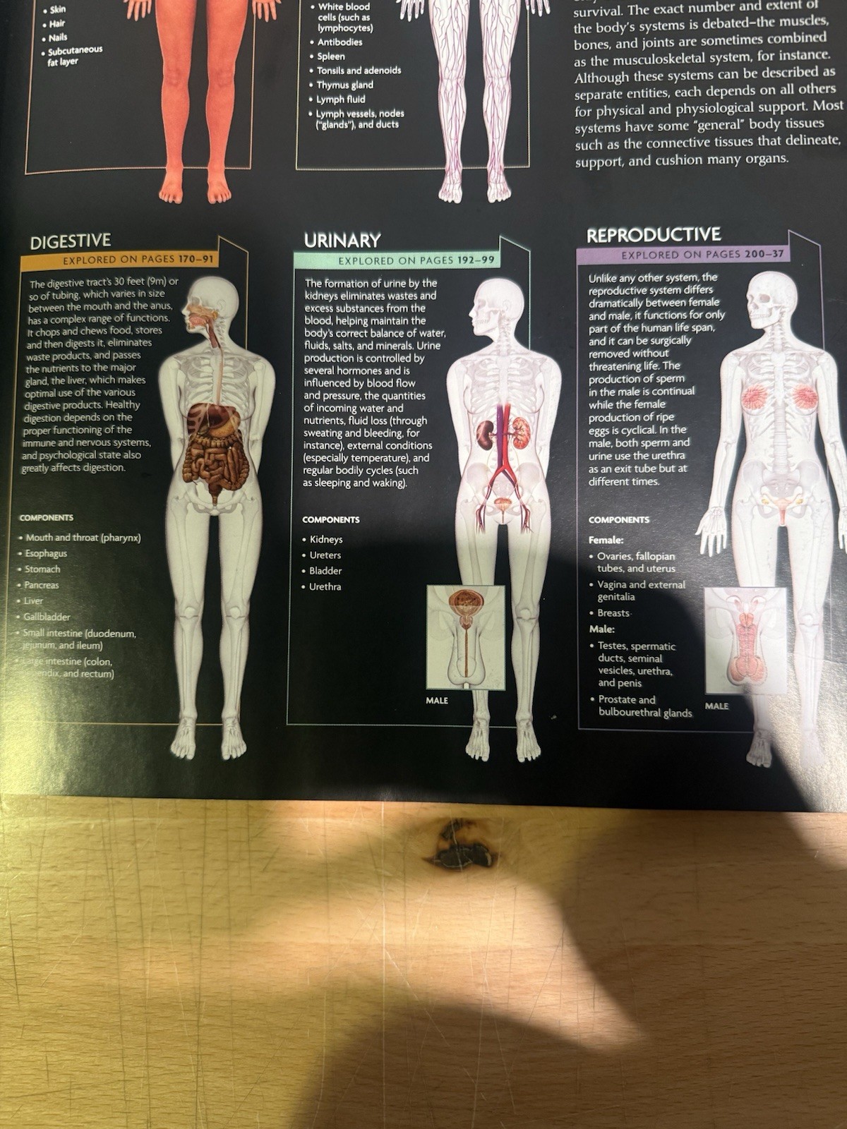 The Human Body Book (Book & DVD) – Hardcover By Steve Parker Pre Owned