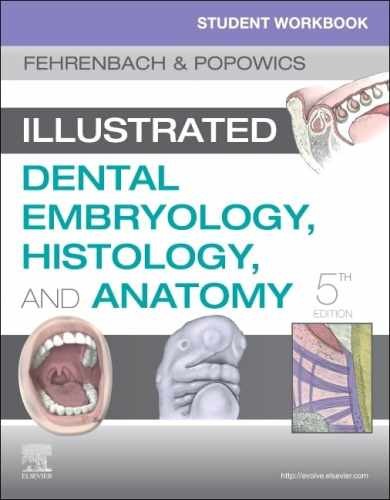 Student Workbook for – Paperback, by Fehrenbach RDH MS – Acceptable w