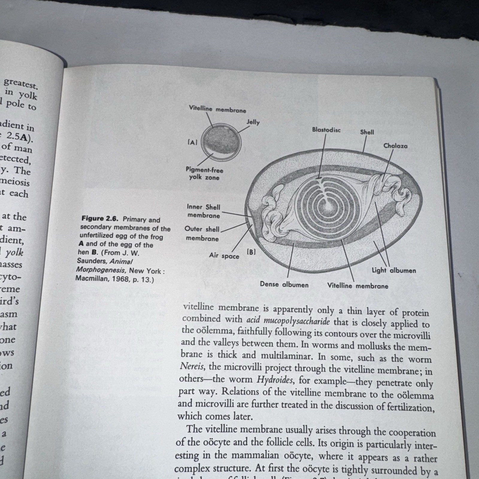 Vtg Patterns & Principles Animal Development 1970 Biology Textbook HC Medical