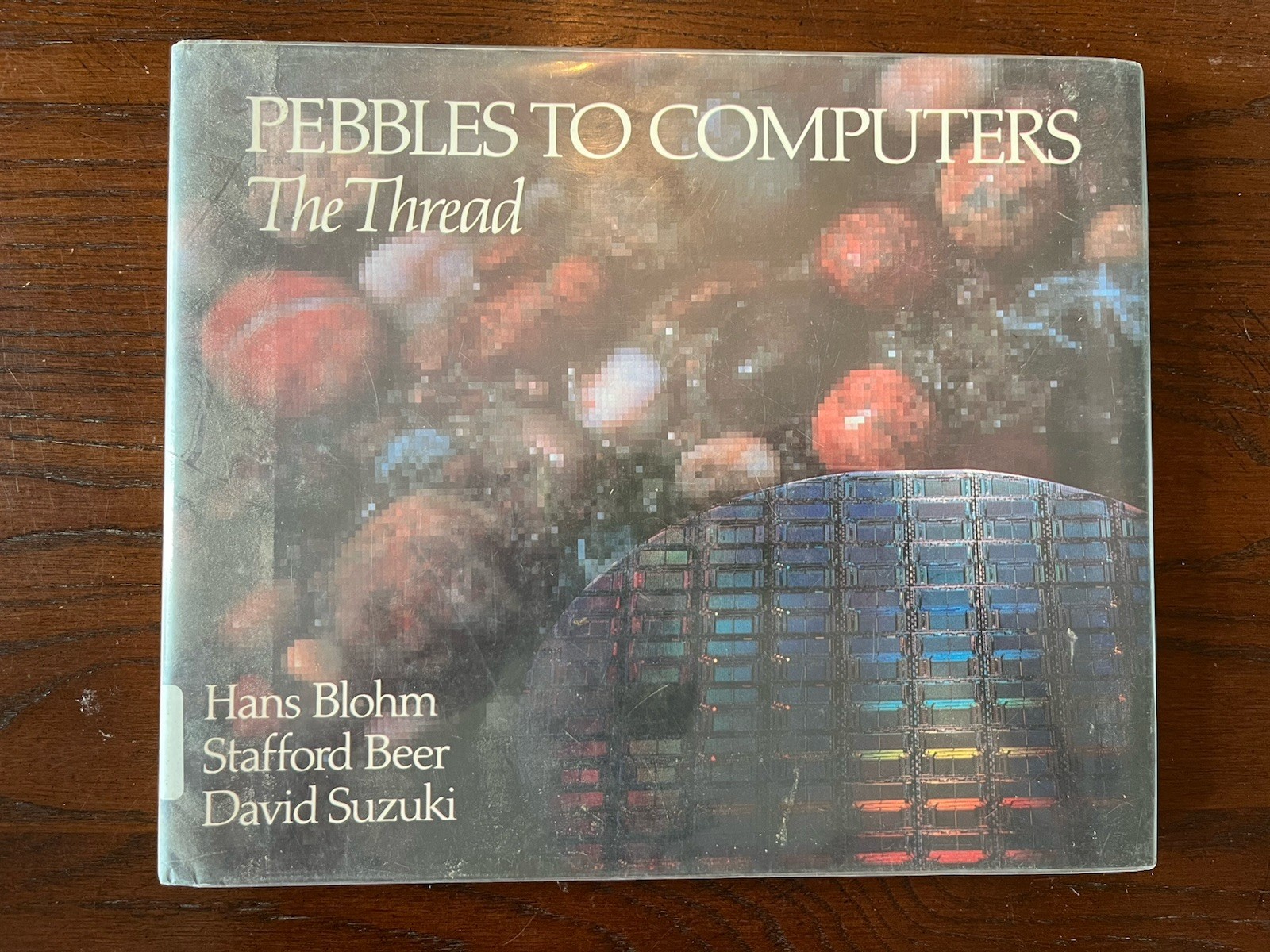Pebbles to Computers The Thread Hans Blohm Stafford Beer Suzuki HC DJ Ex Lib
