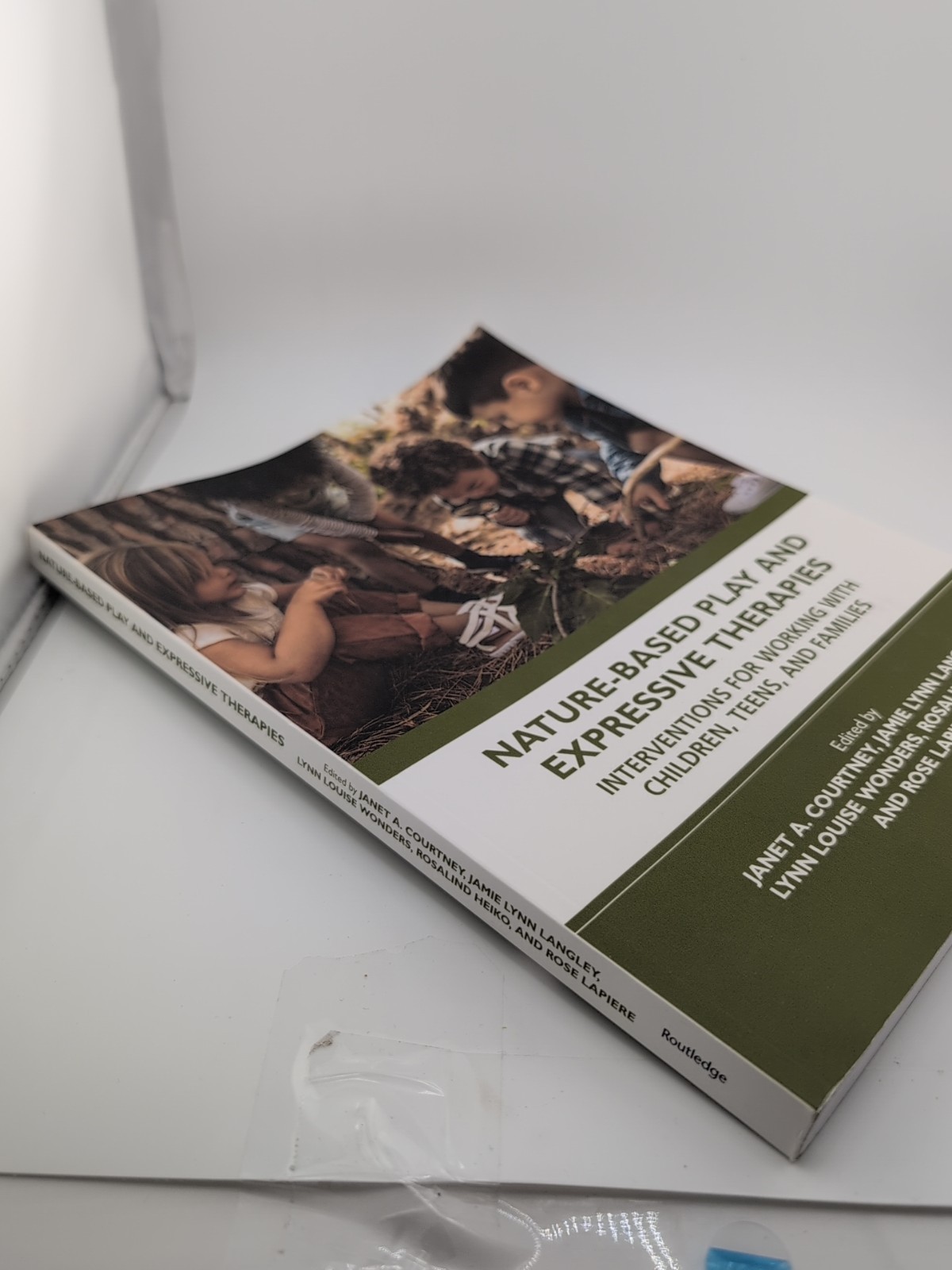 Nature-Based Play and Expressive Therapies for Children, Teens & Families