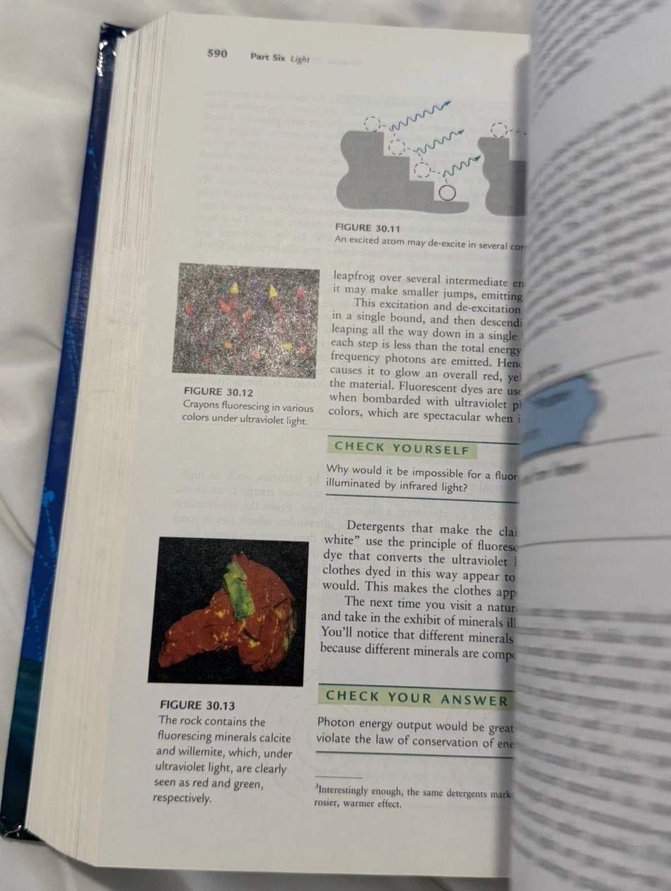 Conceptual Physics 10Th Edition Paul G Hewitt Textbook Gently Used