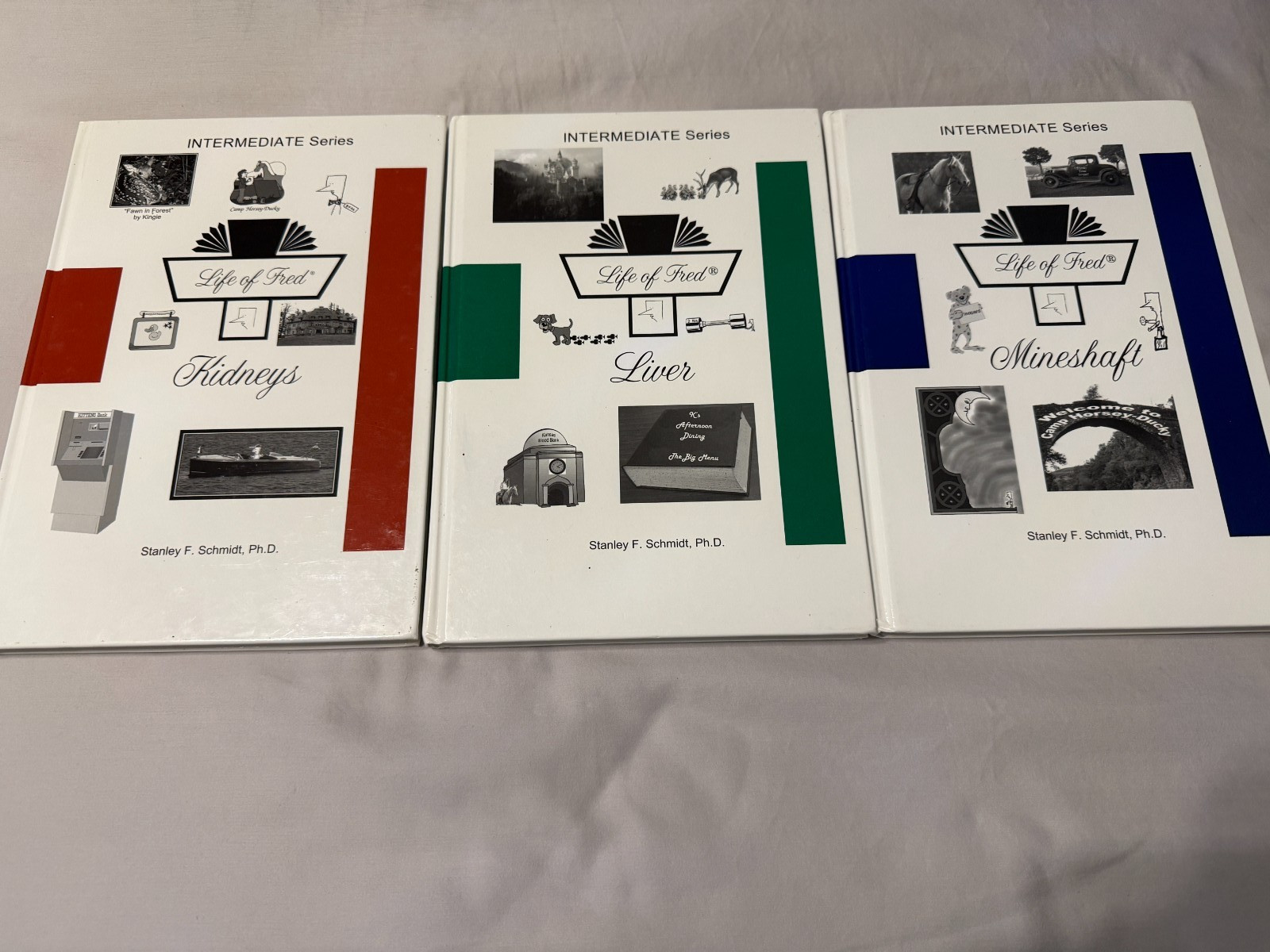 Life of Fred Lot of 3 Intermediate Math Series Kidney Liver Mineshaft Homeschool