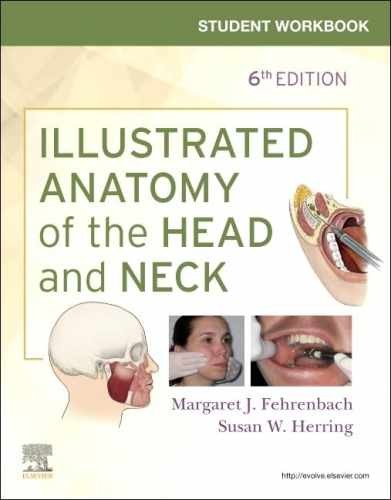 Student Workbook for Illustrated – Paperback, by Fehrenbach RDH MS – Very Good h