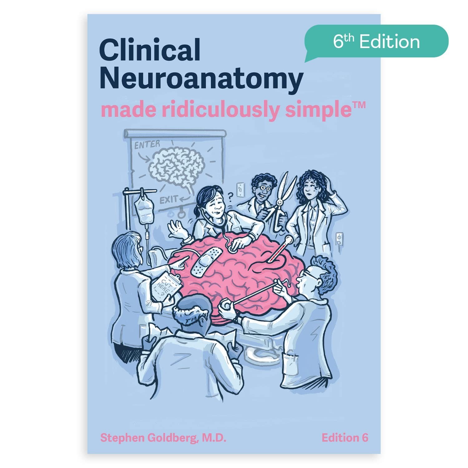 Clinical Neuroanatomy Made Ridiculously Simple 6th edition