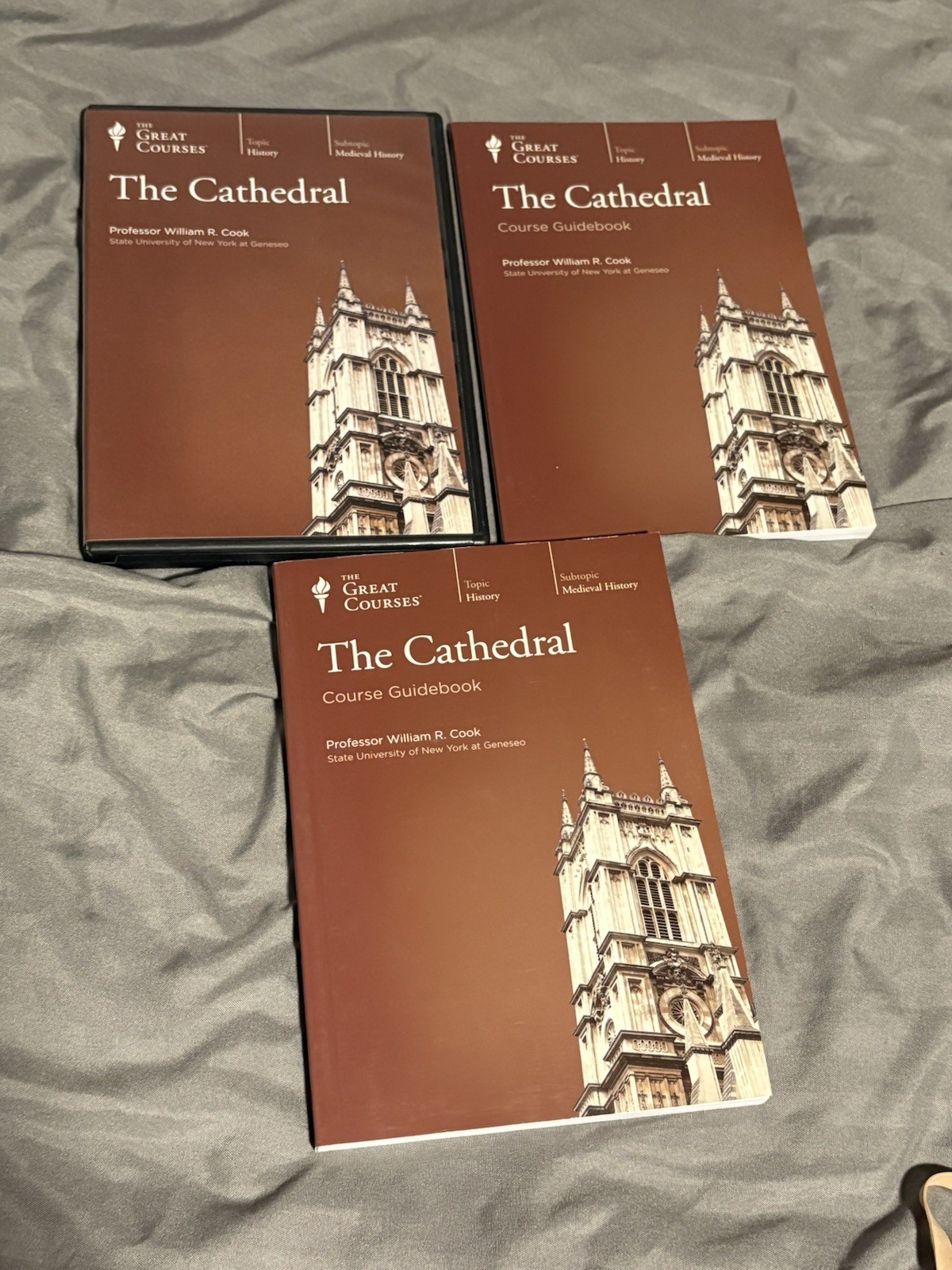 The Cathedral [The Great Courses] DVD & Guidebook by Professor William R. Cook