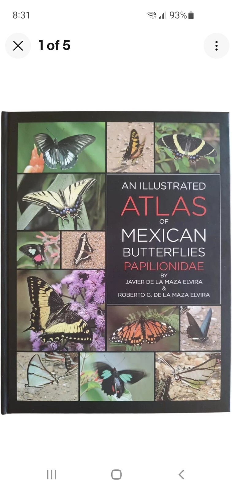 An Illustrated Atlas of Mexican Butterflies Papilionidae By Maza Elvira New