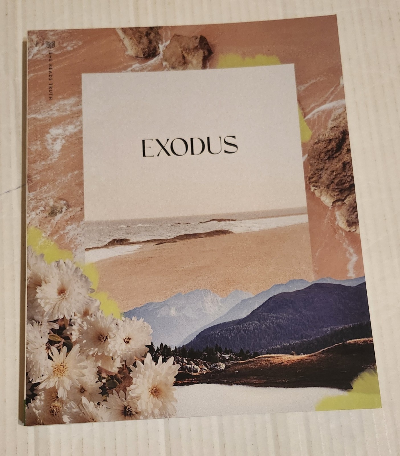 She Reads Truth EXODUS Workbook Christian Study Guide Bible Scripture Readings