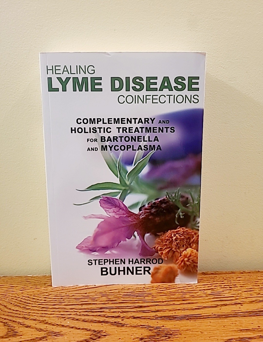 Healing Lyme Disease Coinfections : Complementary and Holistic Treatments