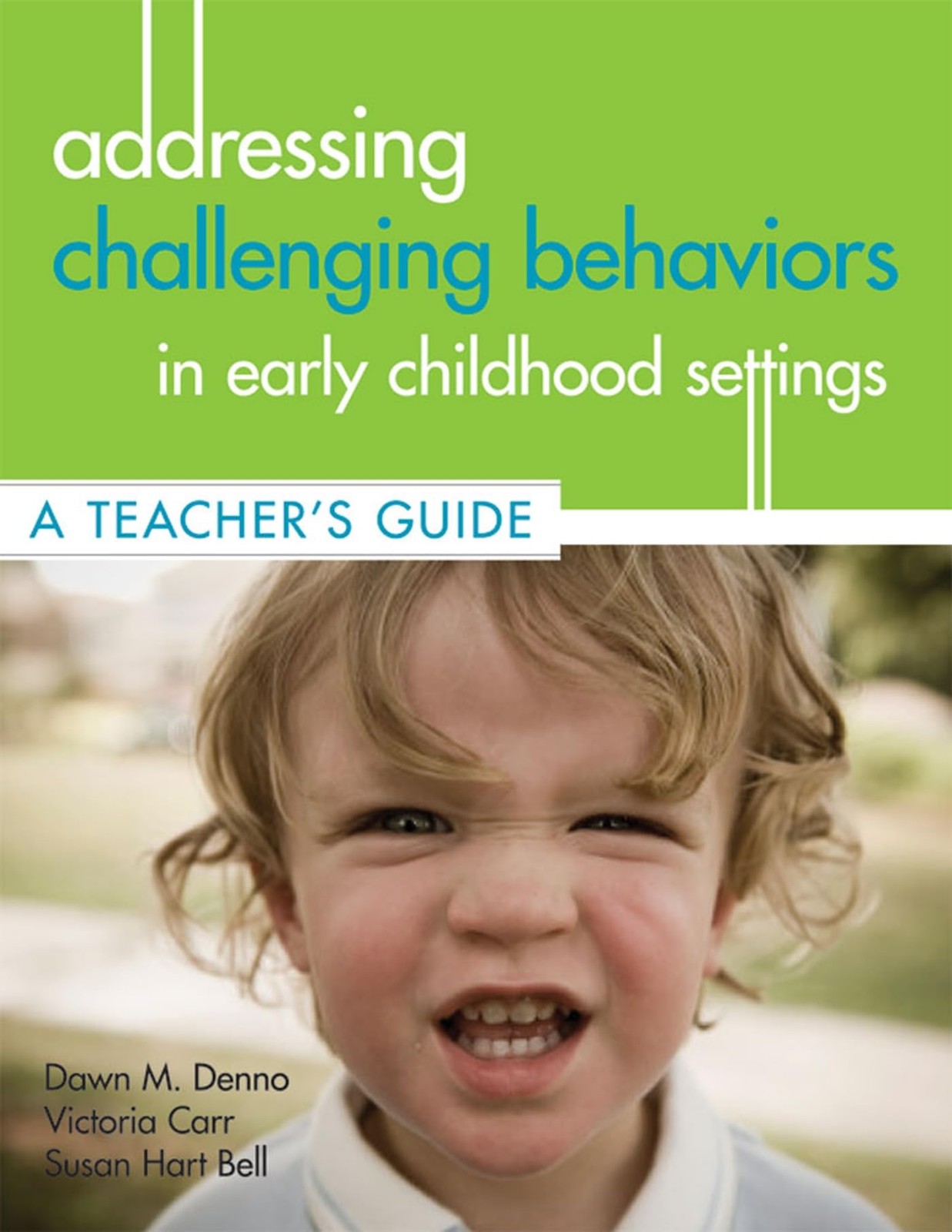 Addressing Challenging Behaviors in Early Childhood Settings: A Teacher’s Gu…