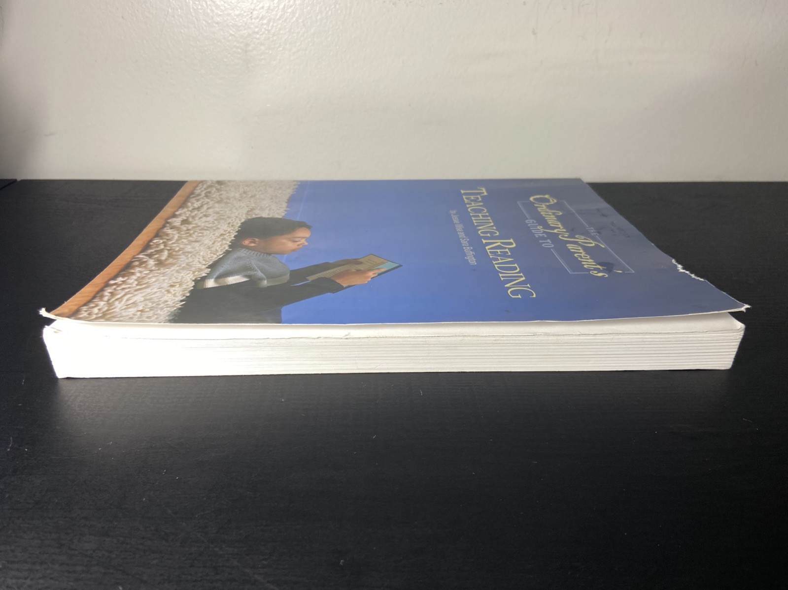 The Ordinary Parent’s Guide to Teaching Reading, Revised Edition Instructor Book