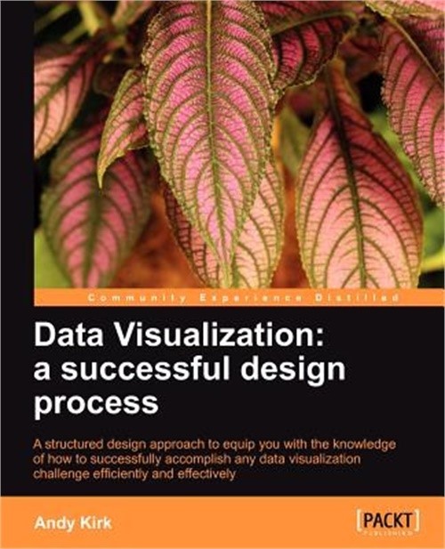 Data Visualization: A Successful Design Process (Paperback or Softback)