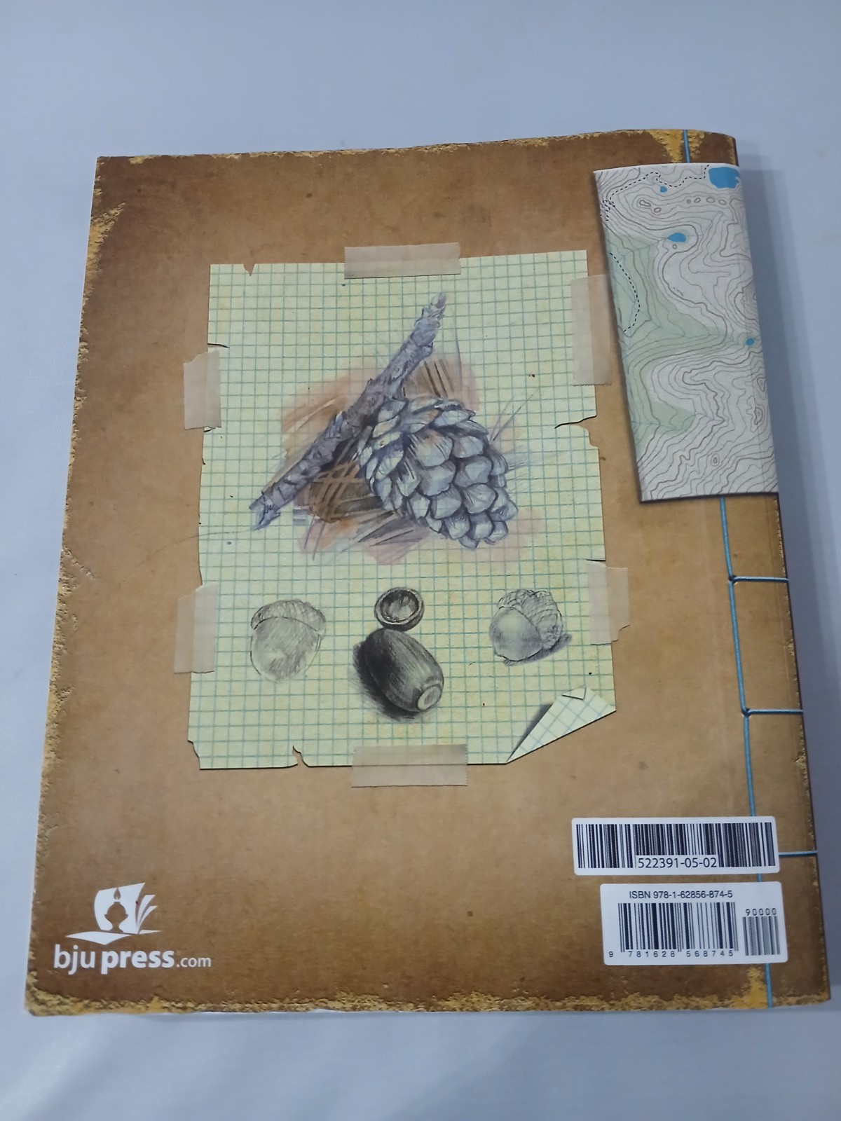 BJU Press SCIENCE 6 Student Textbook 522391 Bob Jones Text CURRENT 4th Ed