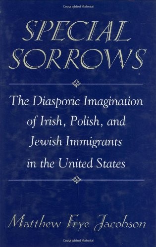 SPECIAL SORROWS: THE DIASPORIC IMAGINATION OF IRISH, By Matthew Frye Jacobson