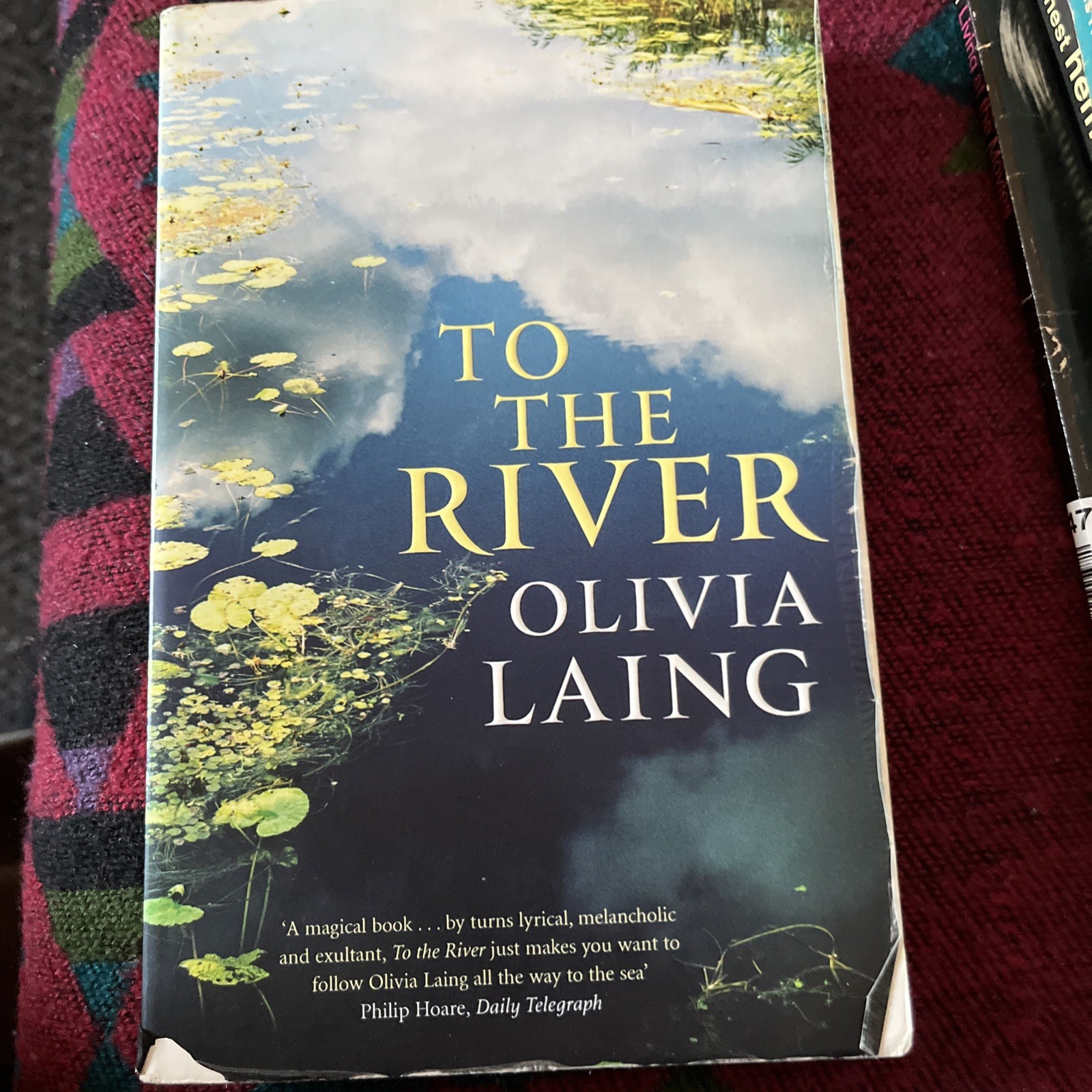 To the River: A Journey Beneath the Surface (Canons) by Laing, Olivia Book The