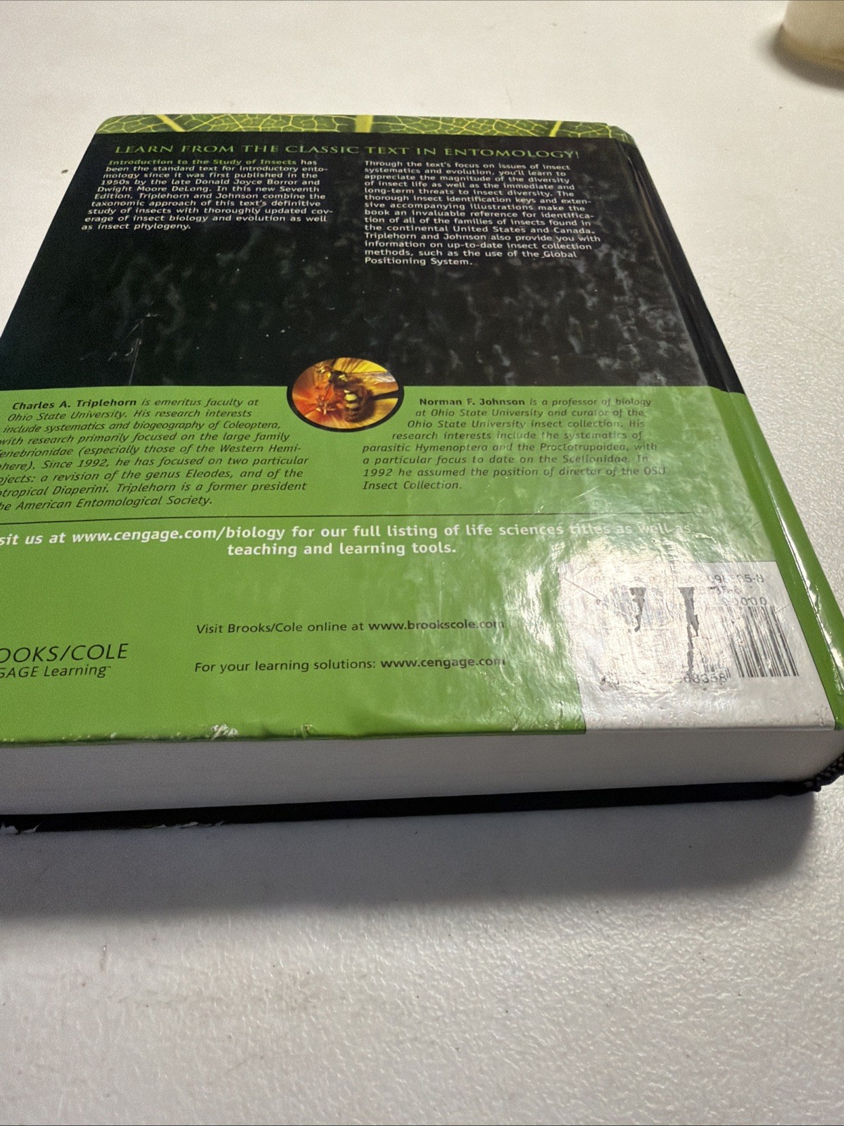 Introduction to the Study of Insects 7th Edition Textbook Triplehorn Thomson