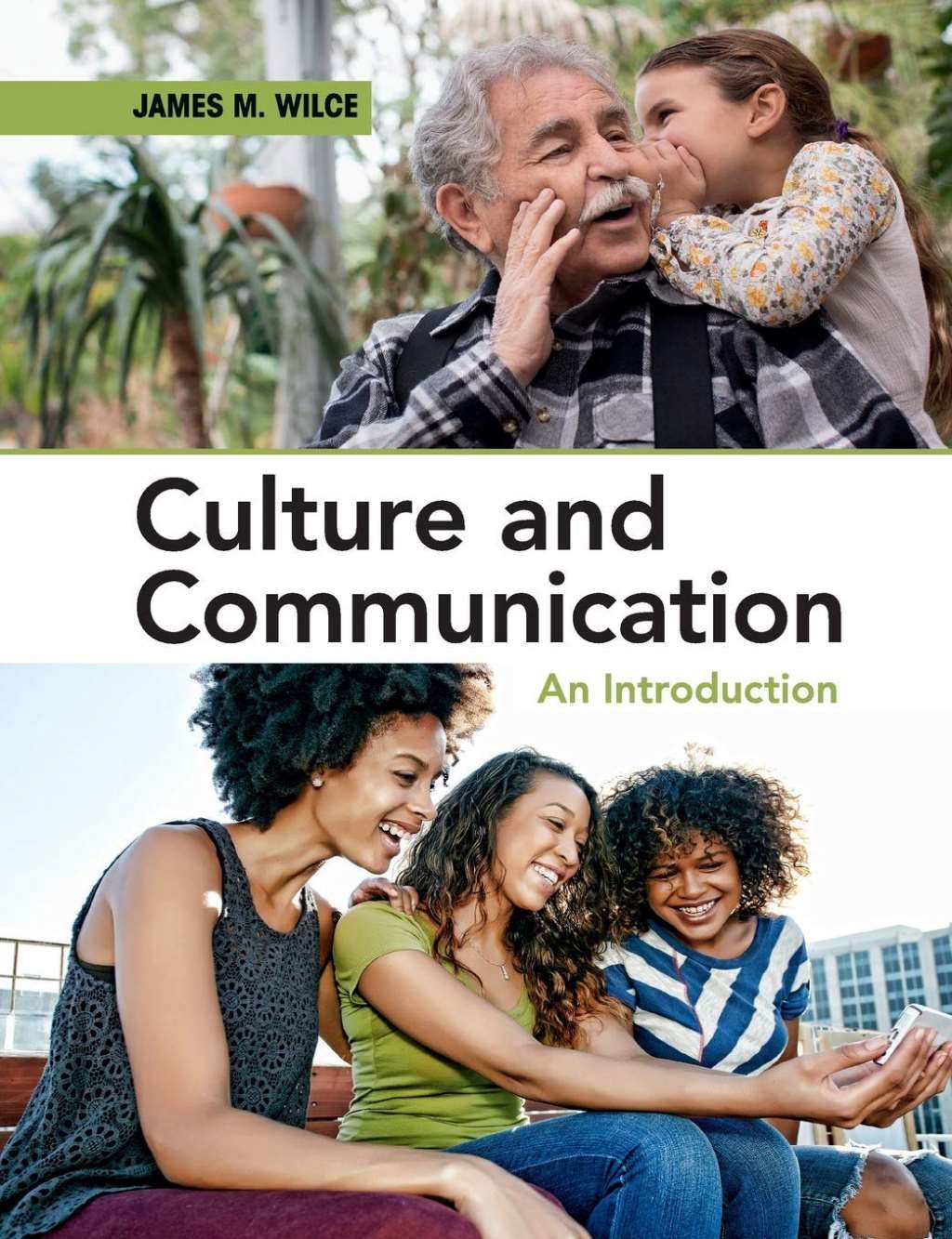 Culture and Communication: An Introduction, Wilce, James M, Very Good condition,