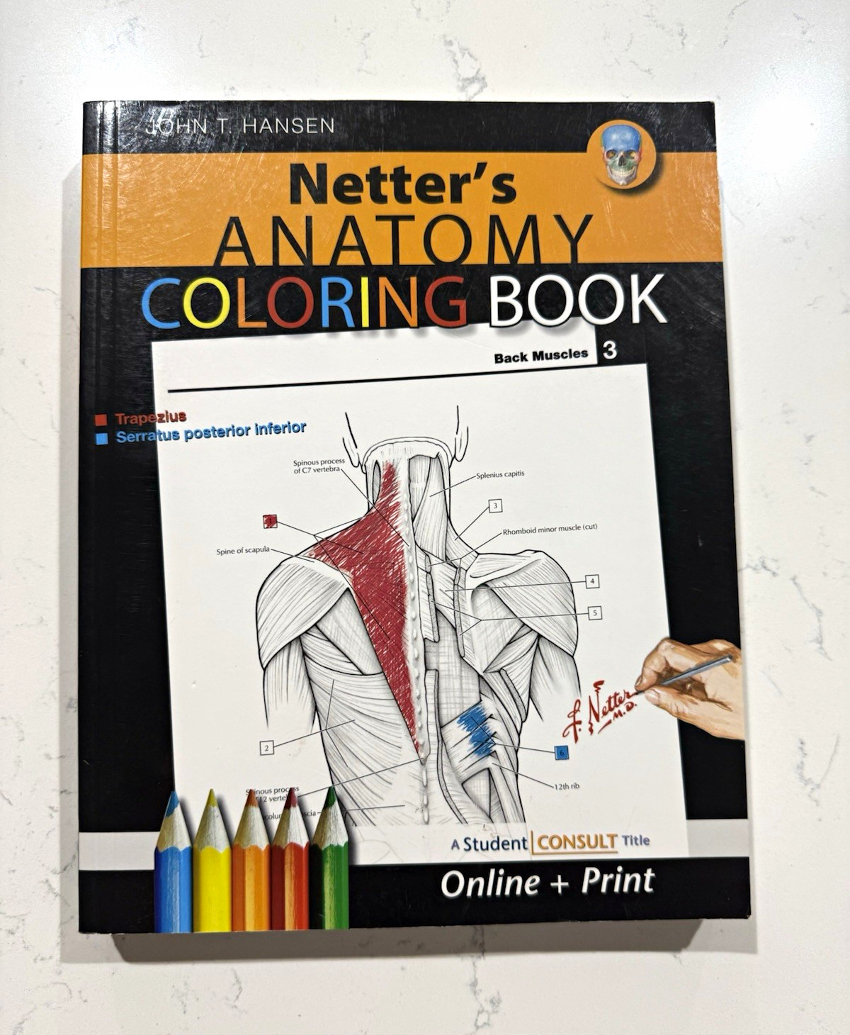 Netter’s Anatomy Coloring Book John T. Hansen 2010 Paperback Online + Print