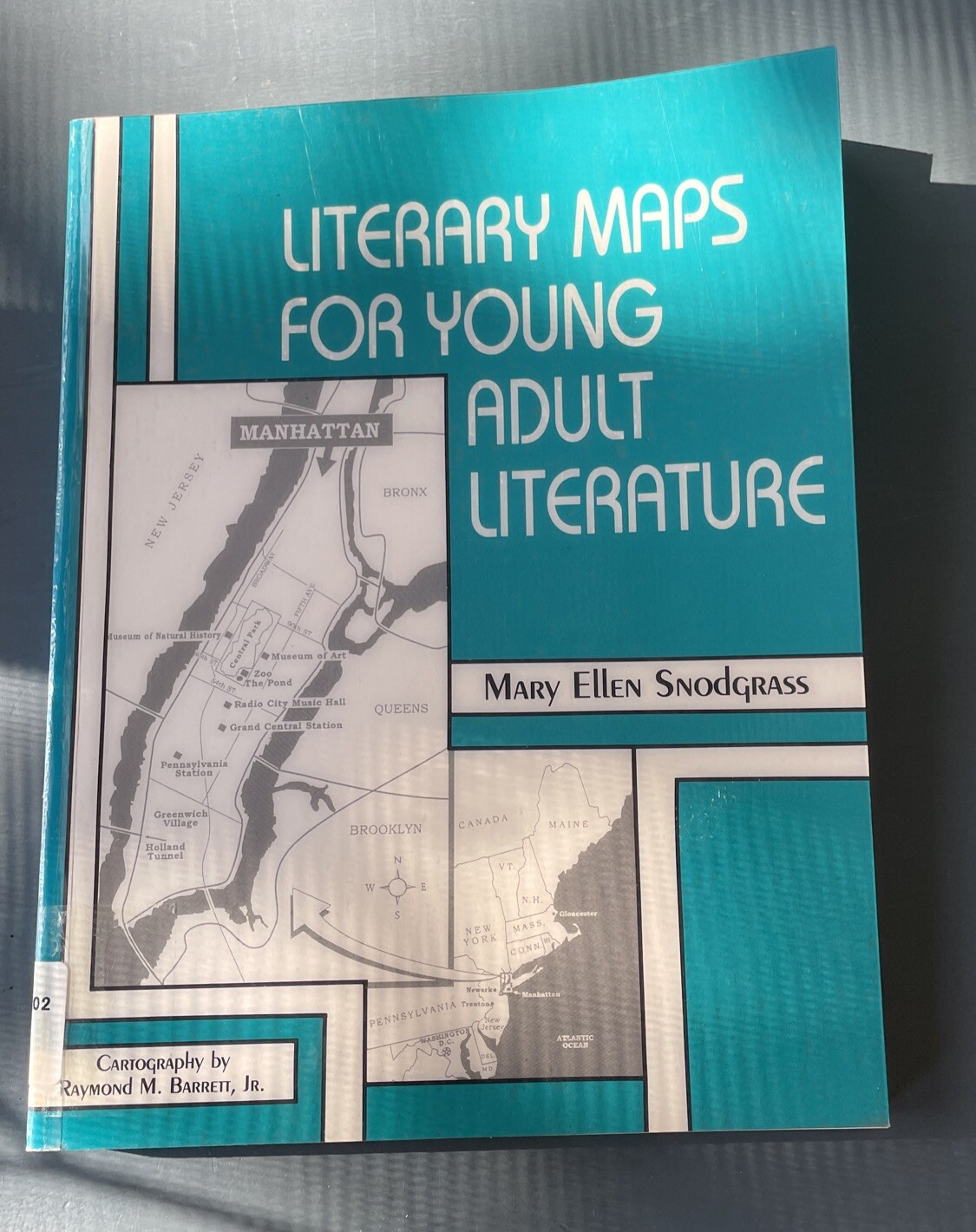 Literary Maps for Young Adult Literature by Mary Ellen Snodgrass (1995, Trade…