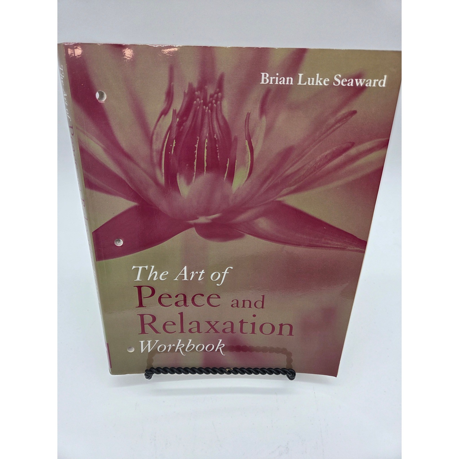 Jones and Bartlett The Art of Peace and Relaxation Workbook Brian Luke Seaward