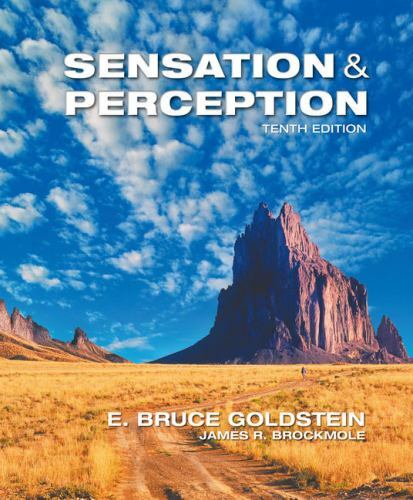 Sensation and Perception by Goldstein, E. Bruce; Brockmole, James