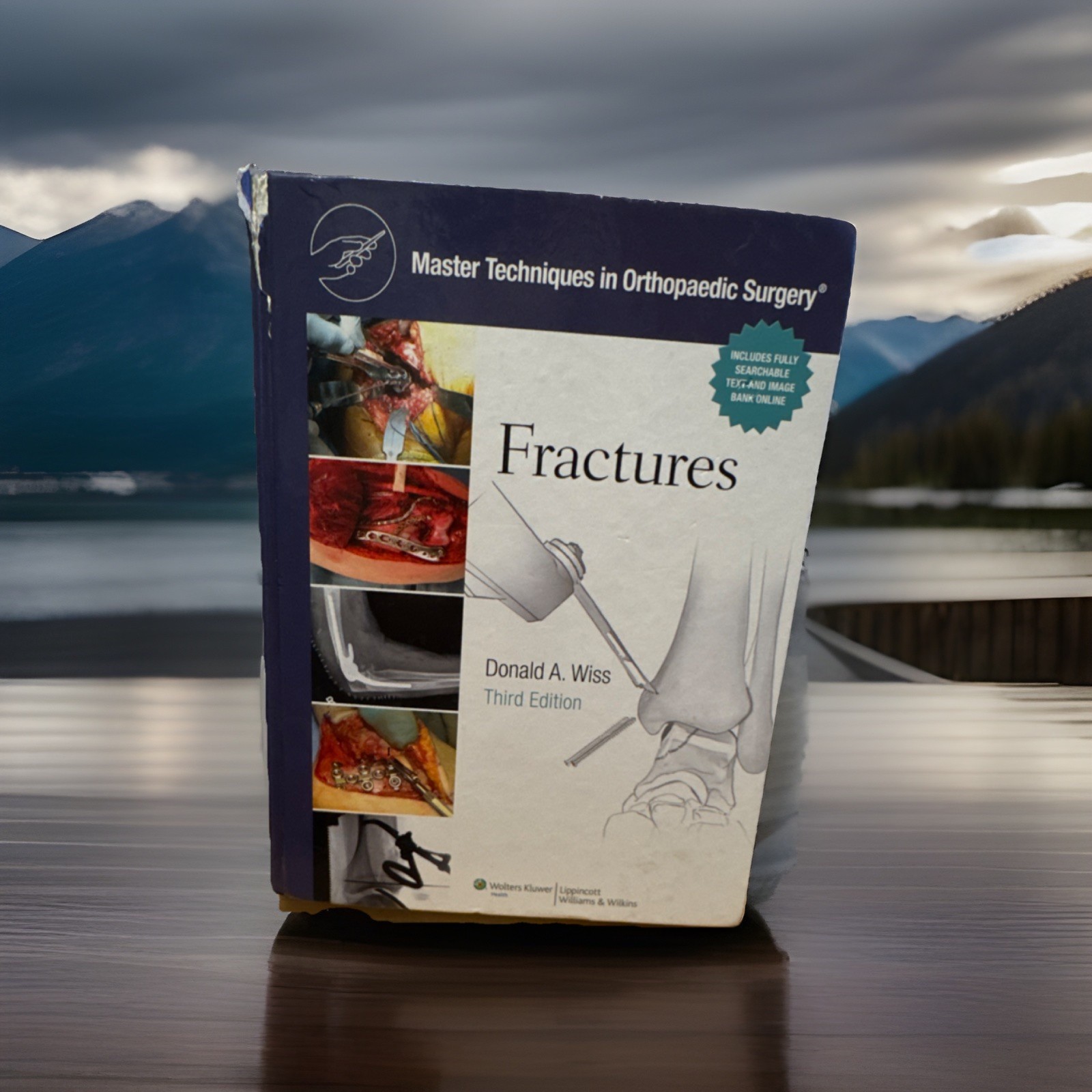 Master Techniques in Orthopaedic Surgery : Fractures by D Wiss (2012, Hardcover)