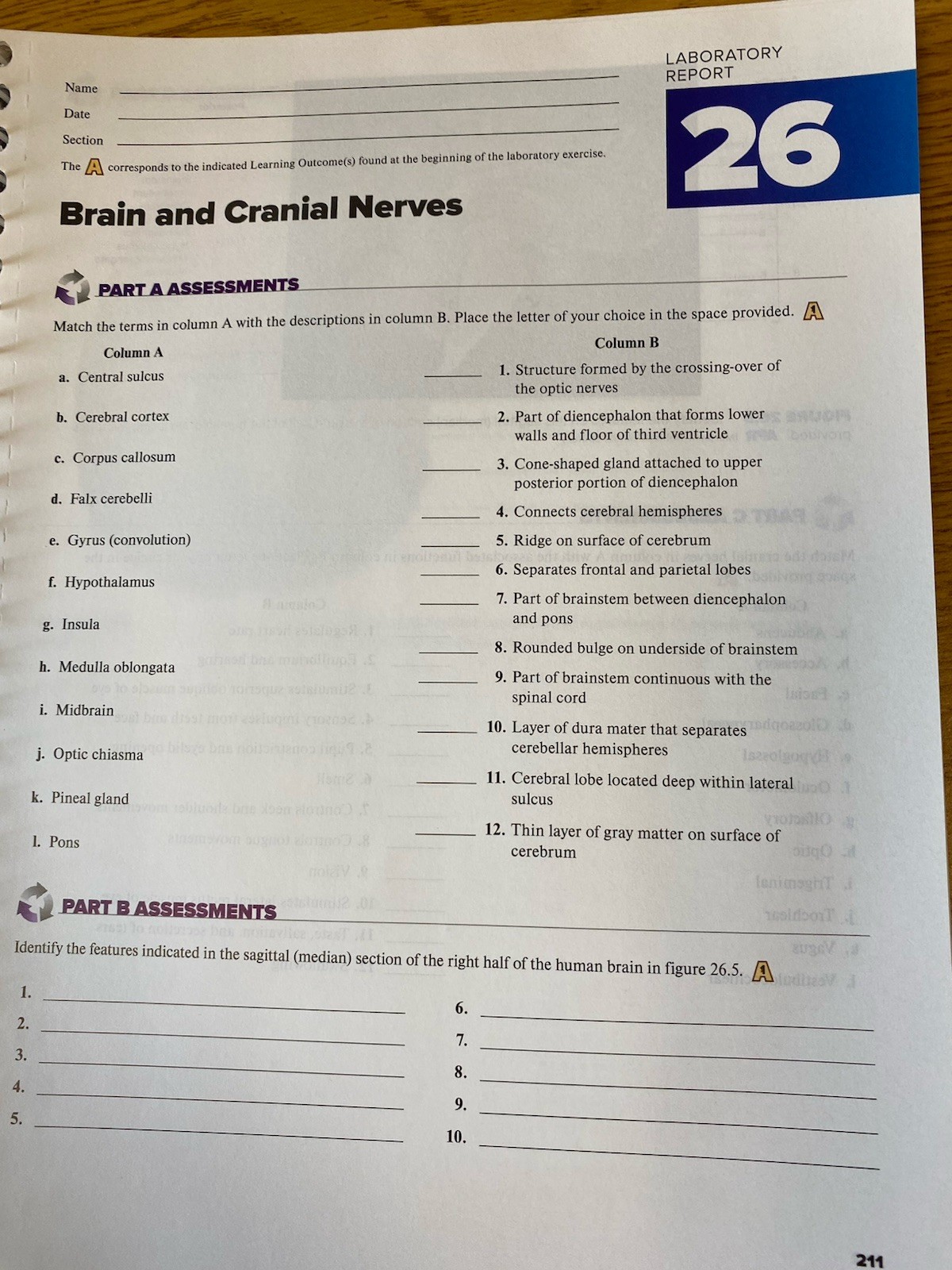 2024 Hole’s Anatomy Physiology Lab Manual. Snider, Martin. Clean pages.