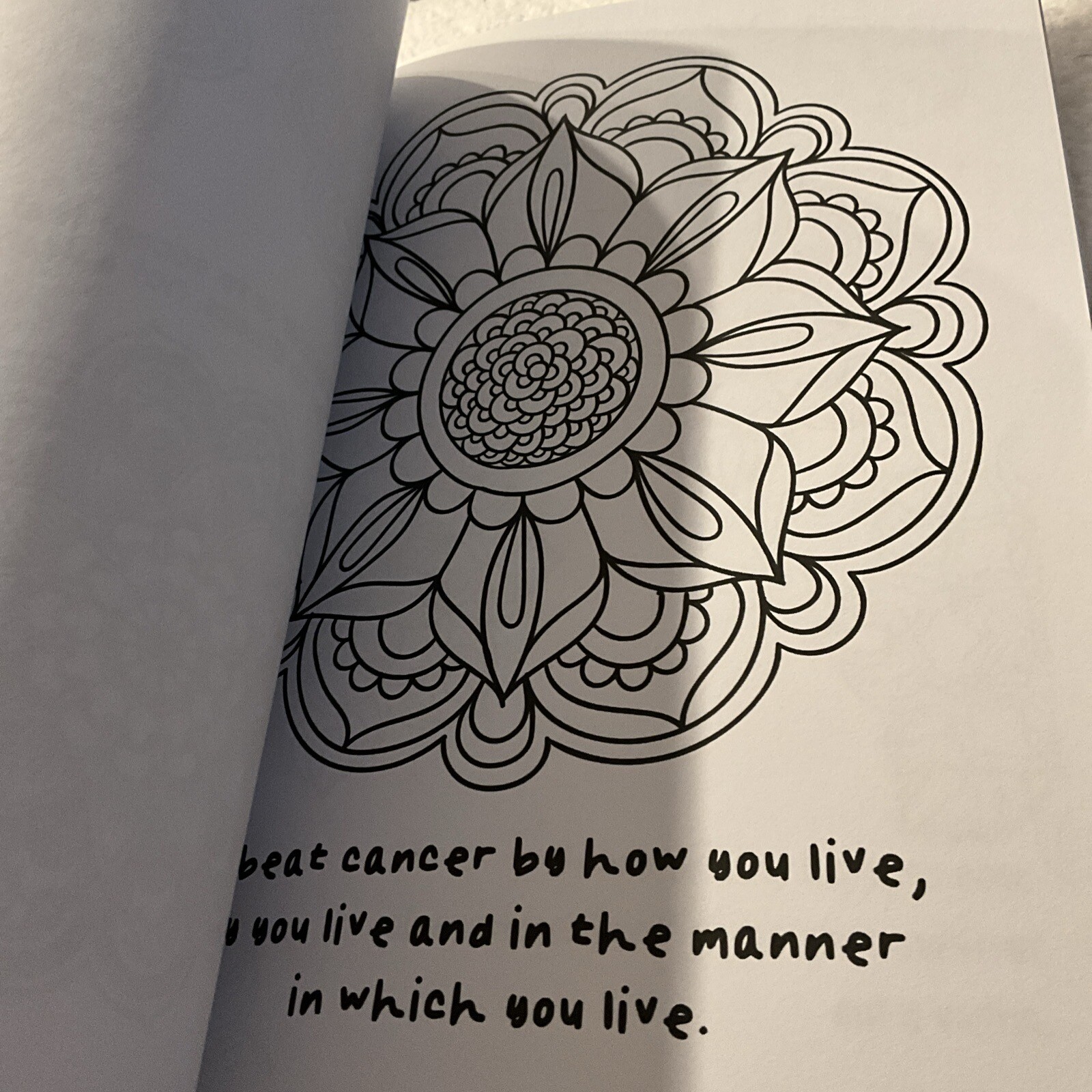 Suck It Cancer Coloring Book: 50 Inspirational Quotes And Mantras To Color