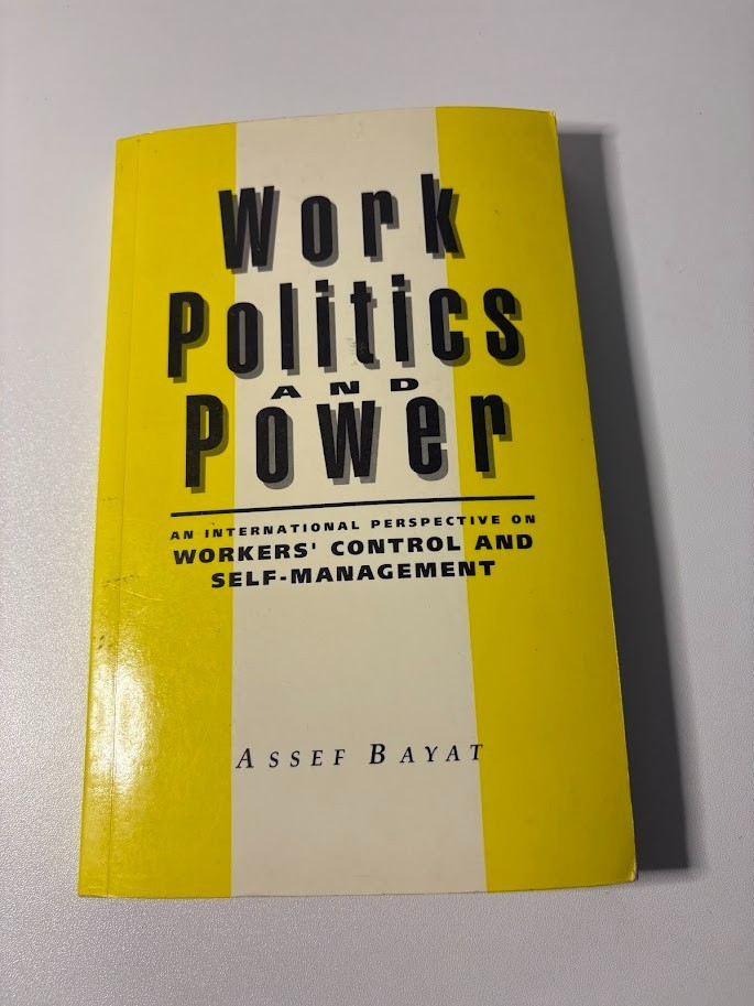 Asef Bayat Work, Politics, and Power (Paperback) Good condition