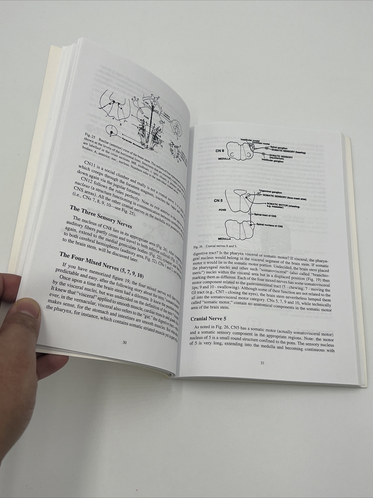 Clinical Neuroanatomy Made Ridiculously Simple by Stephen Goldberg (2010, Trade