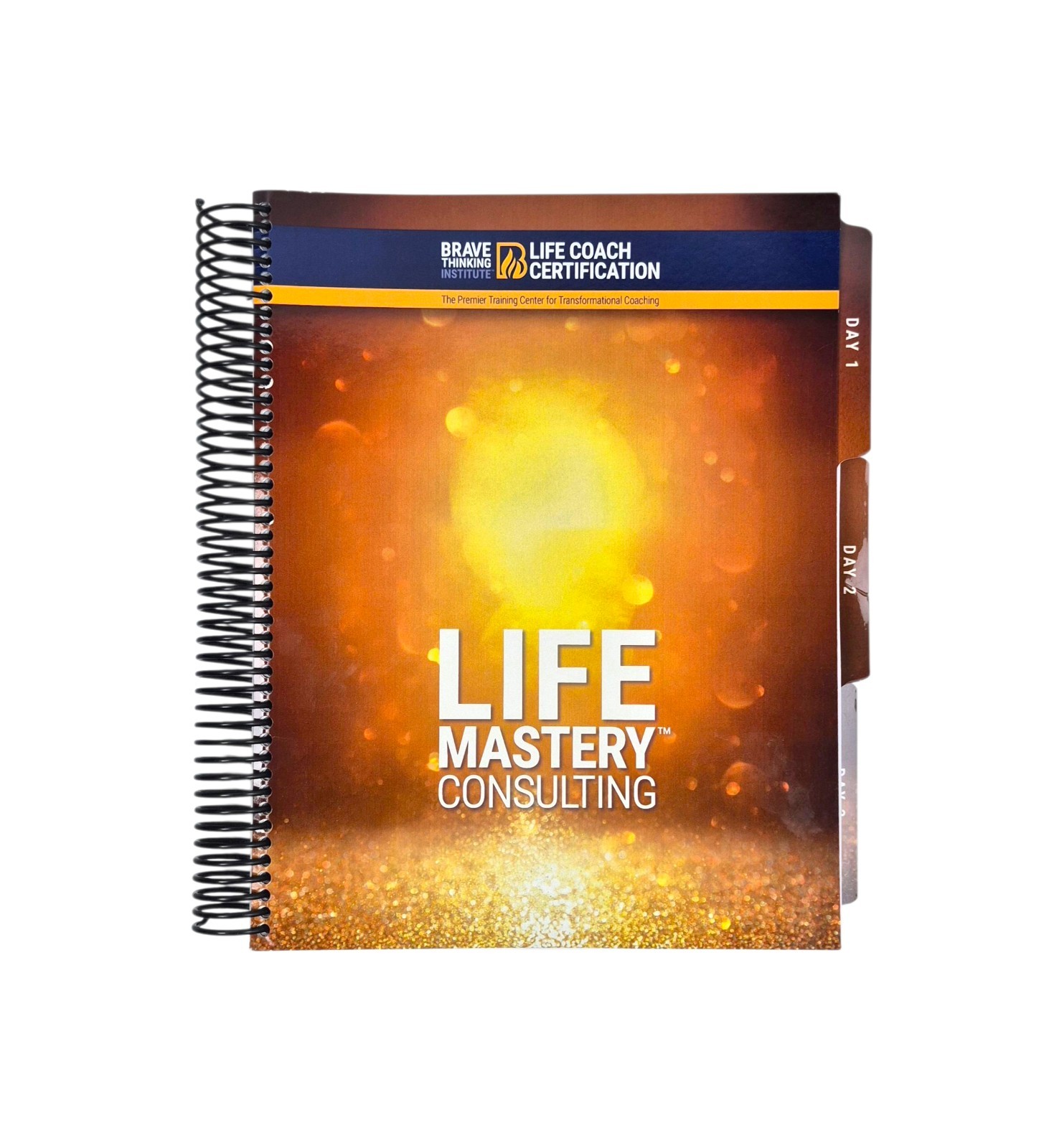 Life Mastery Consulting 3 Day Life Coach Brave Thinking Vision Planner Training