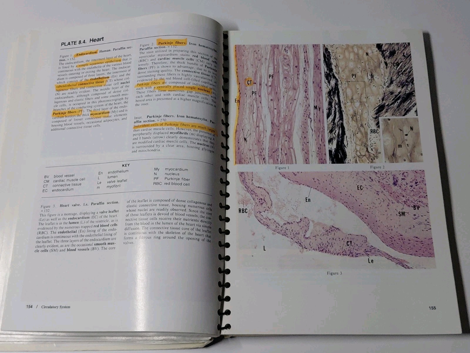 Color Atlas of Histology 1994 Paperback