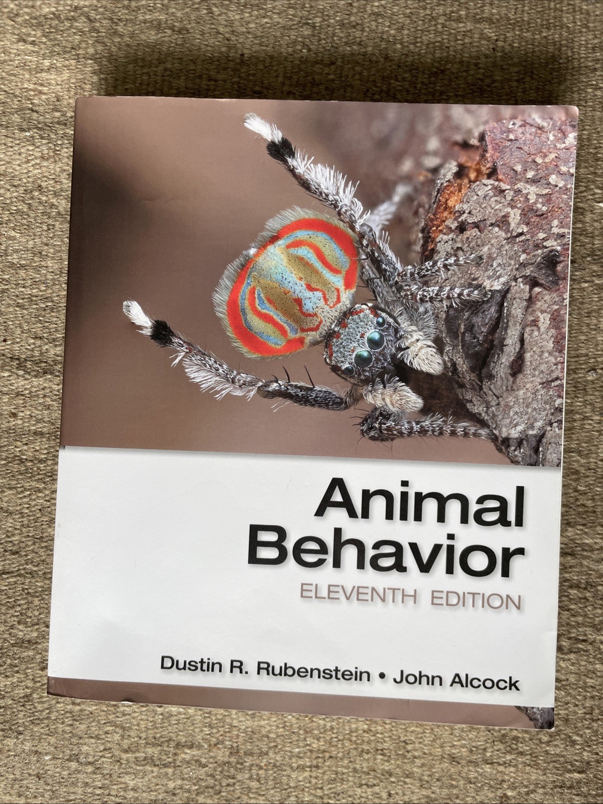 Animal Behavior (11th Edition) by Dustin R. Rubenstein and John Alcock
