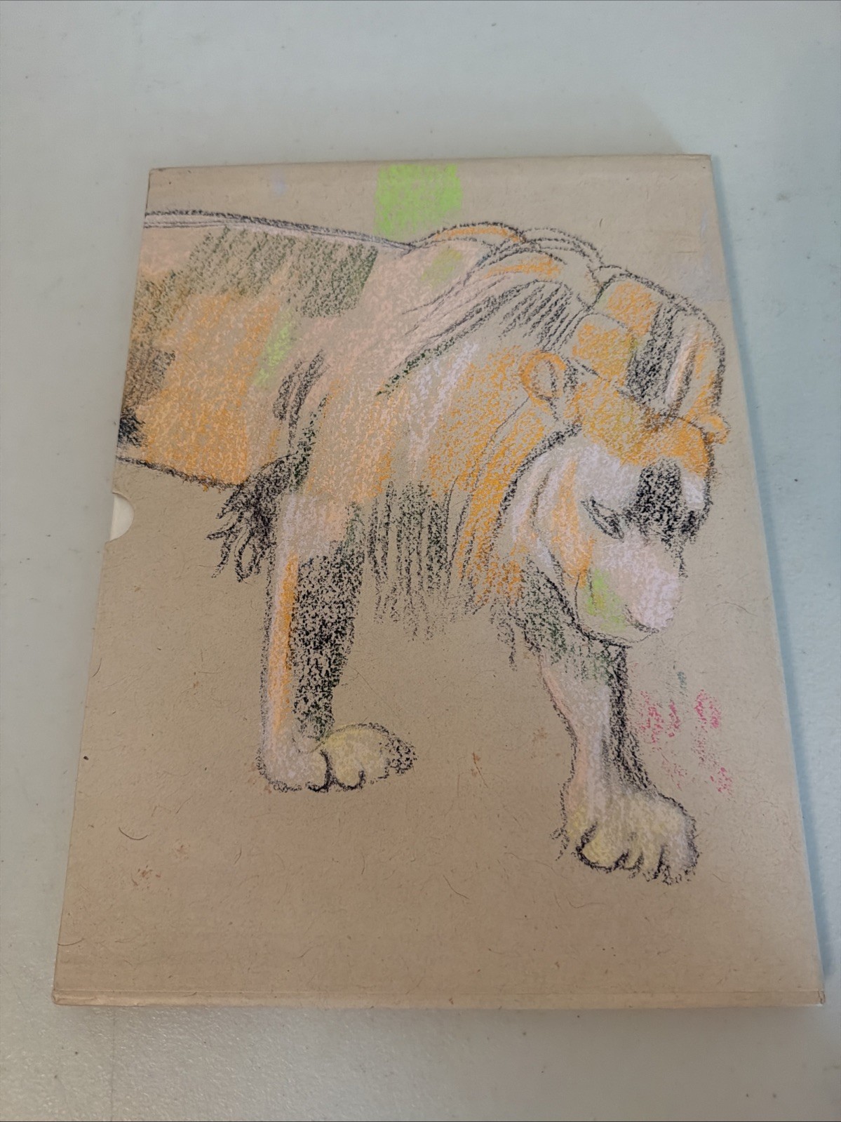 Peter Doig: Palazzetto Tito – Fondazione Bevilacqua La Masa, 2015, Slipcase