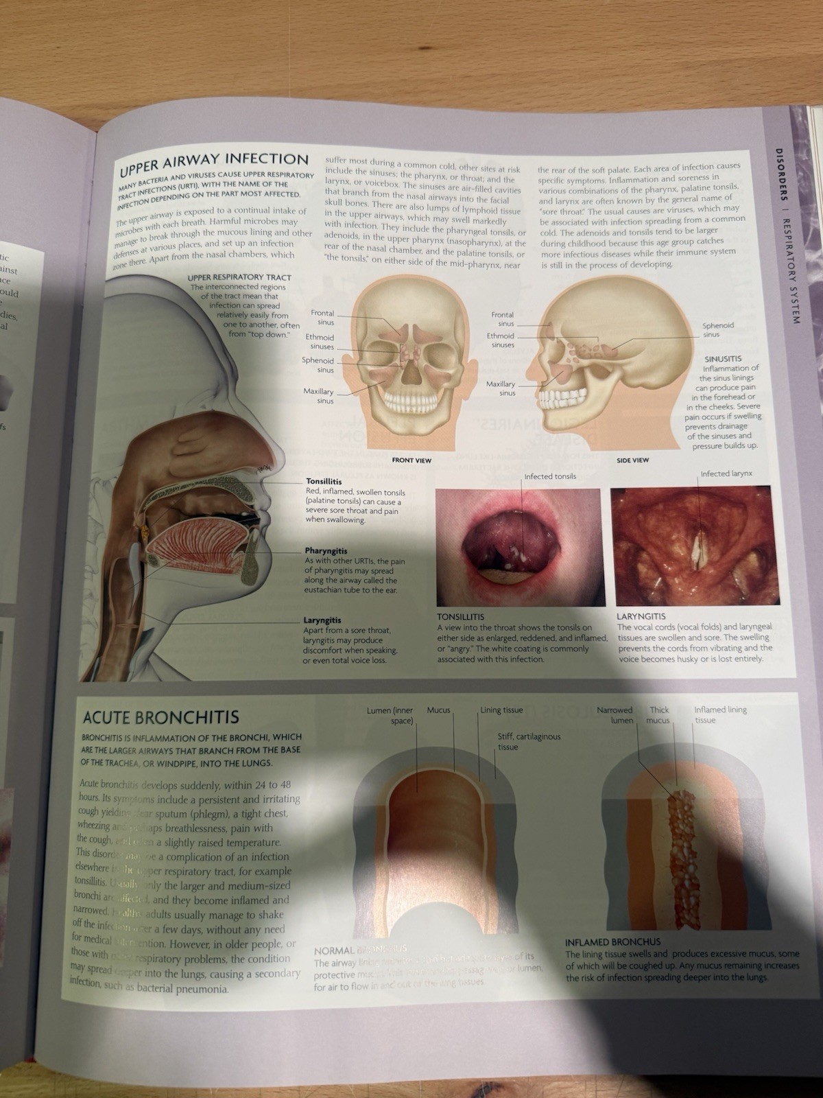 The Human Body Book (Book & DVD) – Hardcover By Steve Parker Pre Owned