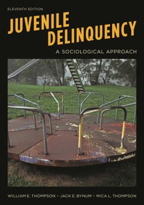 Juvenile Delinquency : A Sociological Approach Paperback