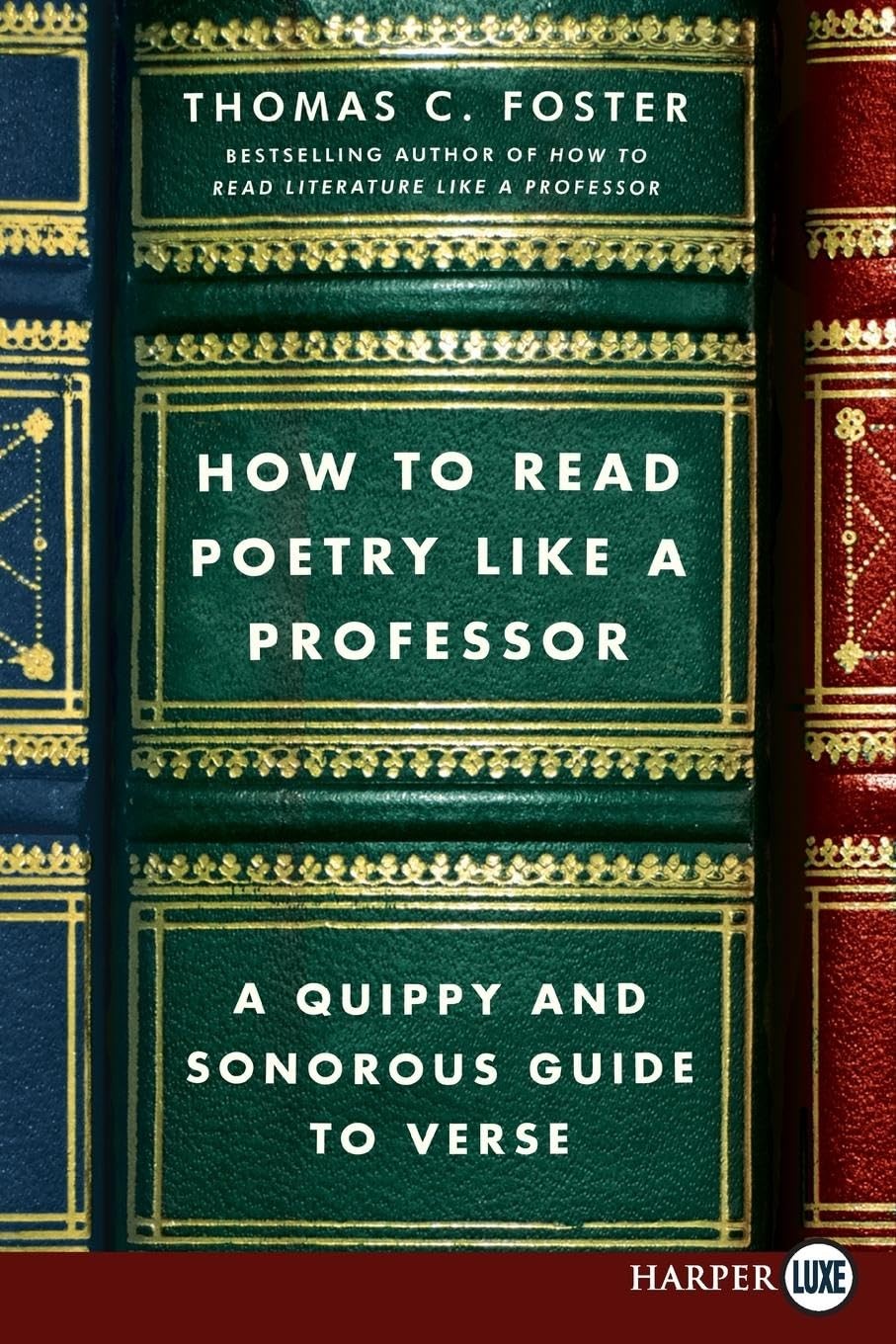 HT READ POETRY LIKE PROFESS – paperback Foster, Thomas C.