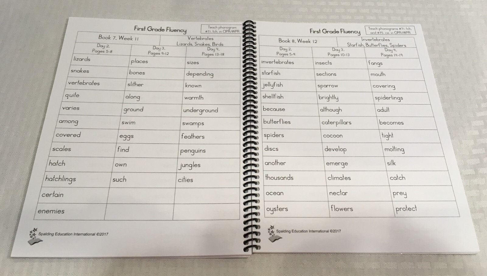 WRITING ROAD TO READING / ORAL READING FLUENCY FOR KINDERGARTEN & FIRST GRADE